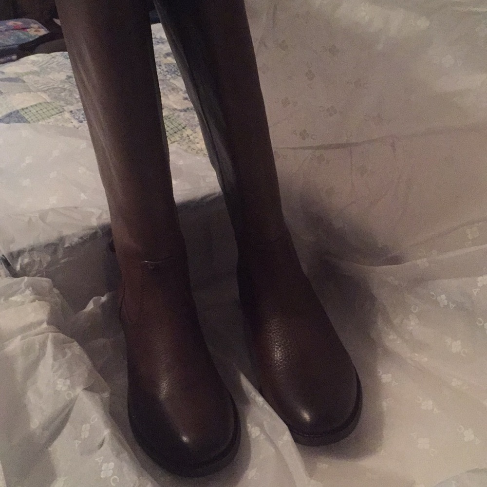 Arturo Chiang riding boots brand new!!